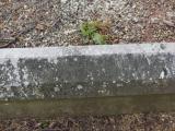 image of grave number 794972